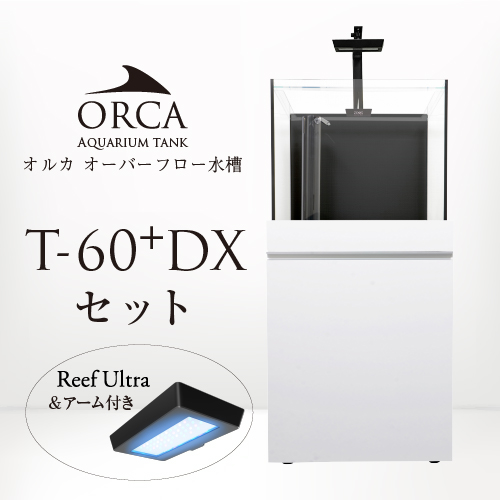 画像1: 【取寄】ORCA T-60+ DXセット 白