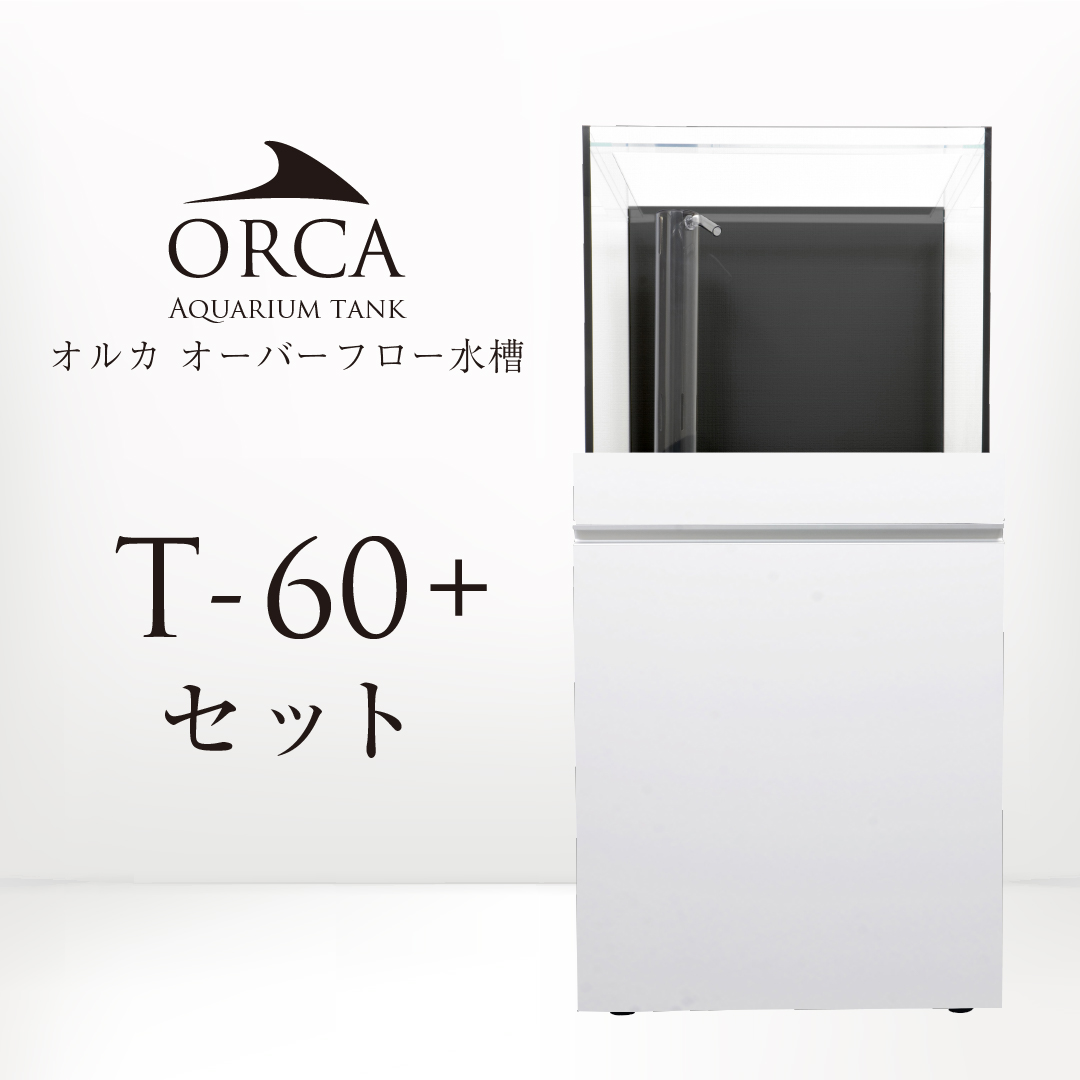 画像1: 【取寄】ORCA T-60+ セット 白