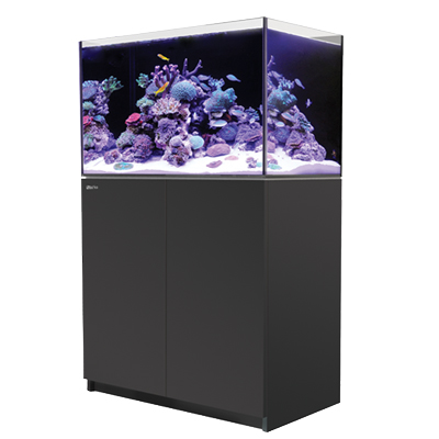 画像1: 【取寄】G2+プラスモデル（ATO付き）RedSea REEFER 350　Black(120cm)　フランジ付き