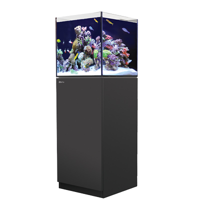 画像1: 【取寄】RedSea REEFER NANO　Black(45cm)　フランジ付き