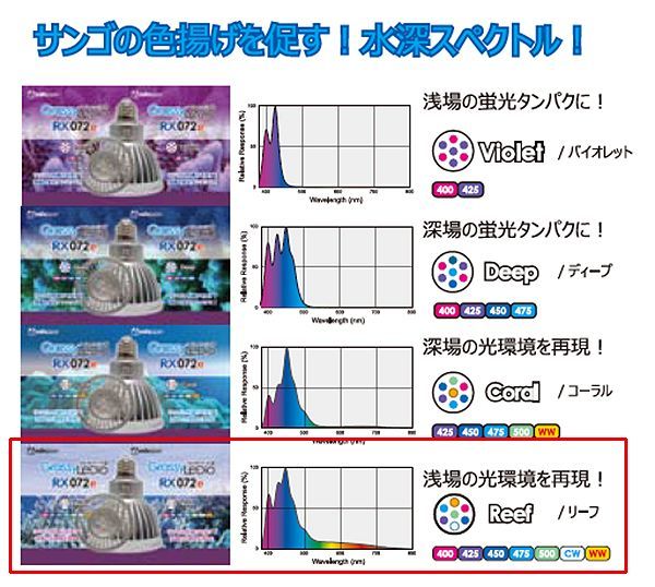 画像2: Grassy LeDio RX072e Reef