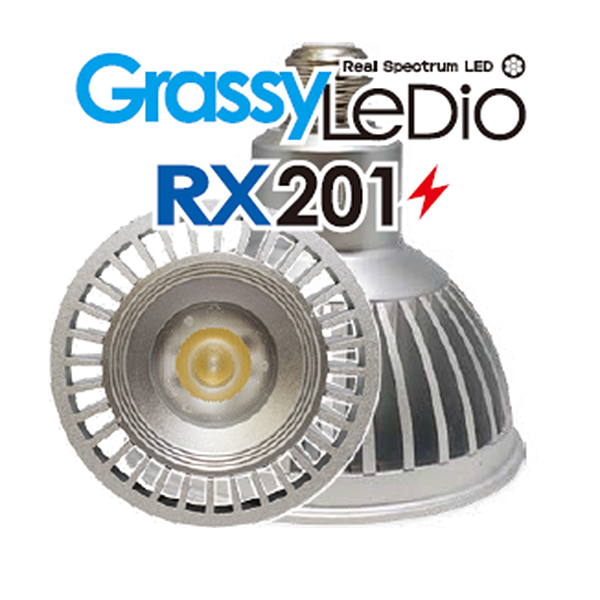 画像2: 【取寄】Grassy Ledio RX201 Sun（65000K）