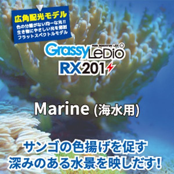 取寄】Grassy Ledio RX201 Marine（海水用） - 海水魚ショップ ナチュラル