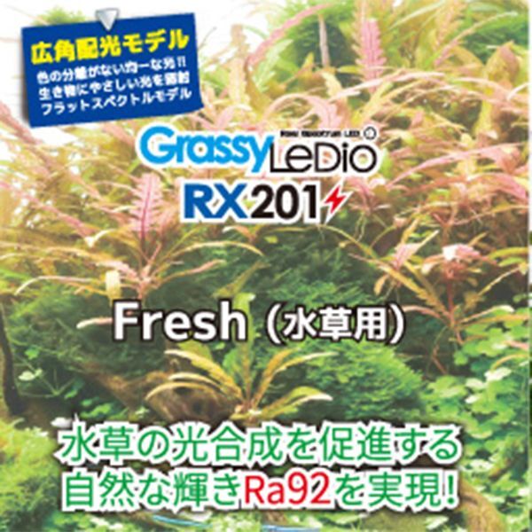 画像3: 【取寄】Grassy Ledio RX201 Fresh（水草用）