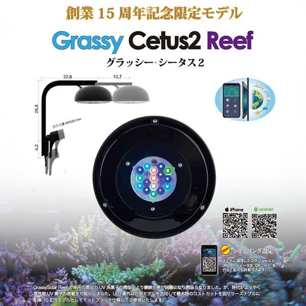 画像1: 【数量限定販売】Grassy Cetus2 Reef（グラッシー・シータス2）