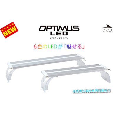 【取寄】　オプティマスLED　60　海水用