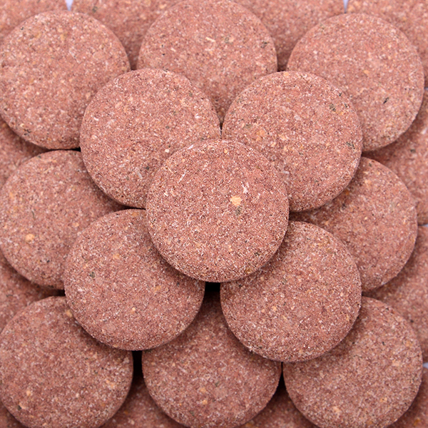 画像5: ガラスに貼るエサ　ニブルビッツ　カーニボア20mm