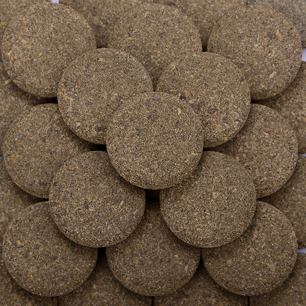 画像5: ガラスに貼るエサ　ニブルビッツ ハービボア20mm