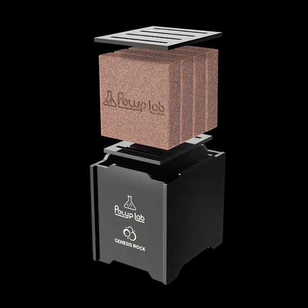 画像1: ポリプラボ　ジェネシスロック　フルセット　限定商品