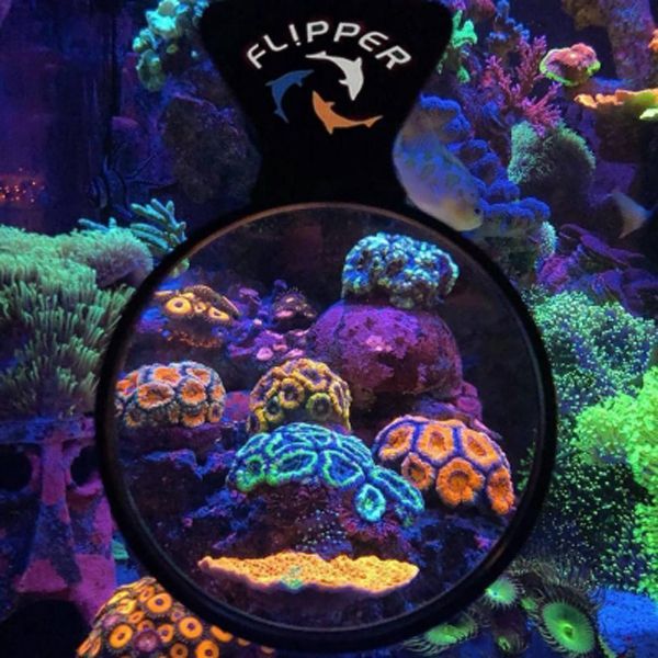 画像2: Flipper DEEP SEE 4" standard
