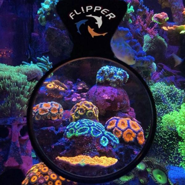 画像2: 【取寄】Flipper DEEP SEE 5" max Clear