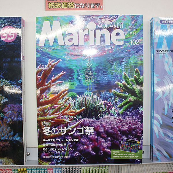画像1: マリンアクアリスト　102号
