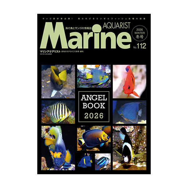 画像1: マリンアクアリスト　112号