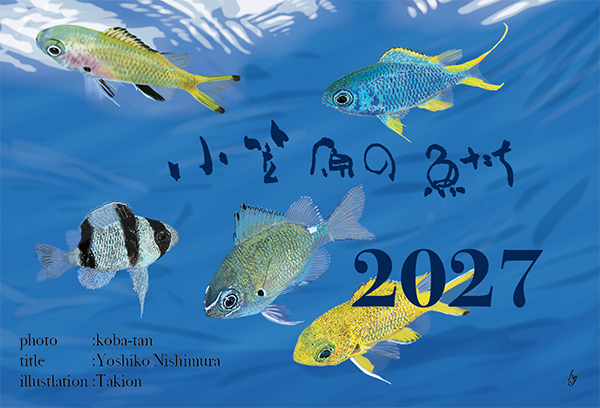 画像1: 2027年　小笠原の魚たちカレンダー　イラスト瀧音