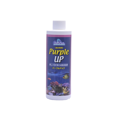 画像1: 【取寄】PURPLE UP (パープルアップ) 240ml