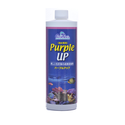 画像1: 【取寄】PURPLE UP (パープルアップ) 480ml