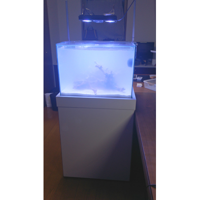 600x450x450水槽セットa 海水魚ショップ ナチュラル 600x450x450水槽セットa 海水魚ショップ ナチュラル