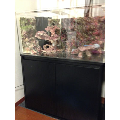 900x450x450h水槽セットc 海水魚ショップ ナチュラル 900x450x450h水槽セットc 海水魚ショップ ナチュラル